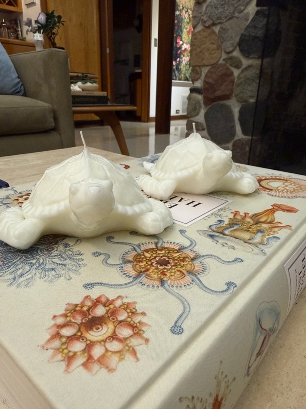 Two white pottery barn turtle decorative candles - Picture 3 of 5